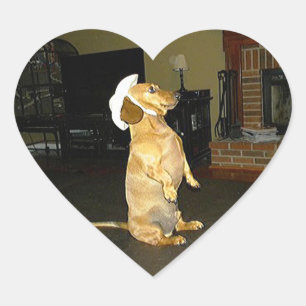 Zitten of Tv-dachshund bekijken Hart Sticker