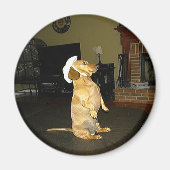 Zitten  of Tv-dachshund bekijken Magneet (Voorkant)