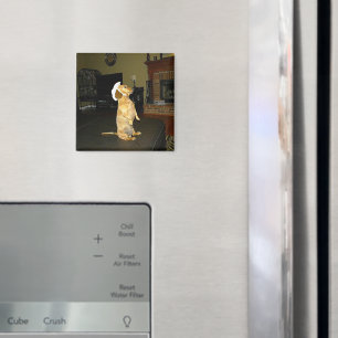 Zitten of Tv-dachshund bekijken Magneet