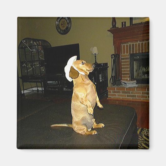 Zitten  of Tv-dachshund bekijken Magneet (Voorkant)