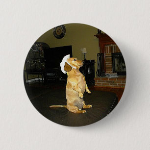 Zitten  of Tv-dachshund bekijken Ronde Button 5,7 Cm