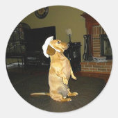 Zitten  of Tv-dachshund bekijken Ronde Sticker (Voorkant)