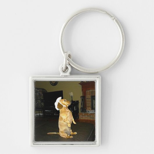 Zitten  of Tv-dachshund bekijken Sleutelhanger (Voorkant)