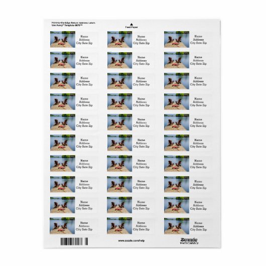 ***ZITTEN OP DE DOCK*** TERUGDRANKLABEL ETIKET (Full Sheet)