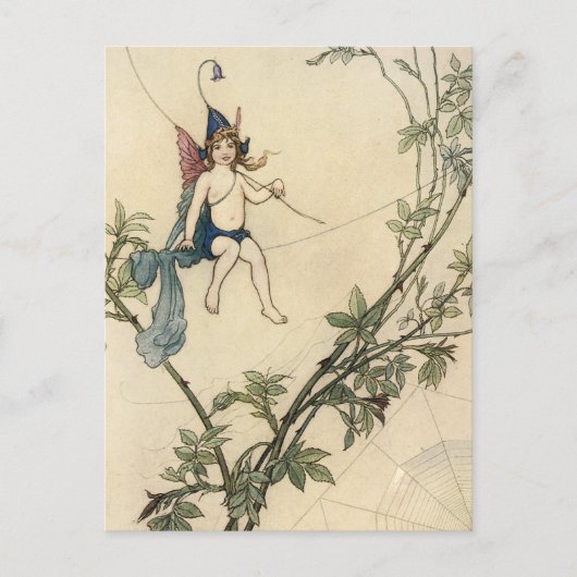 Zitten op een spinnerdraad briefkaart (Voorkant)