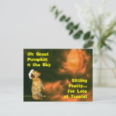 Zitten voor veel behandelingen briefkaart (Staand voorkant)