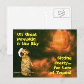 Zitten voor veel behandelingen briefkaart (Voorkant / Achterkant)