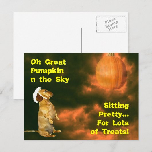 Zitten  voor veel behandelingen briefkaart (Voorkant / Achterkant)