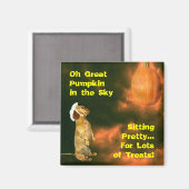 Zitten  voor veel behandelingen magneet (Voorkant / Achterkant)