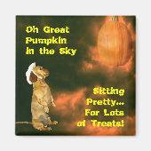 Zitten voor veel behandelingen magneet (Voorkant)