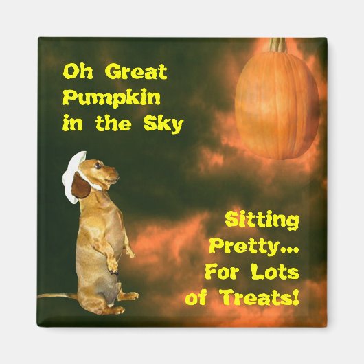 Zitten  voor veel behandelingen magneet (Voorkant)