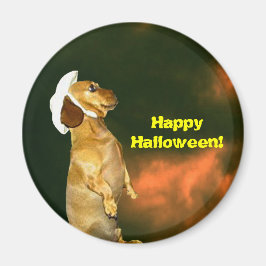 Zitten  voor veel behandelingen magneet