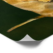 Zitten  voor veel Poster van de Behandeling (Hoek)