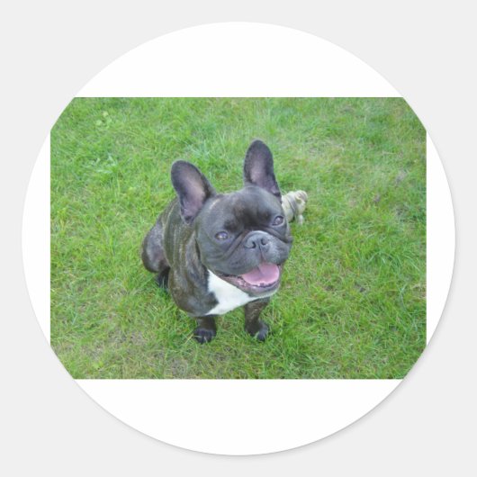 Zittend 2 Franse bulldog.png Ronde Sticker (Voorkant)