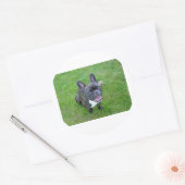 Zittend 2 Franse bulldog.png Ronde Sticker (Envelop)