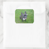Zittend 2 Franse bulldog.png Ronde Sticker (Tas)
