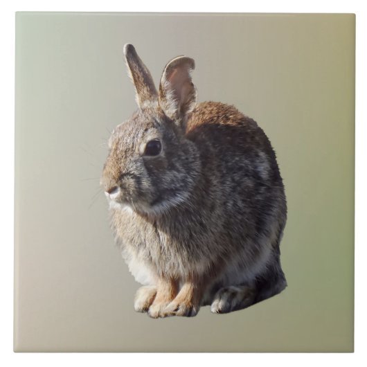 Zittend konijn tegeltje (Voorkant)