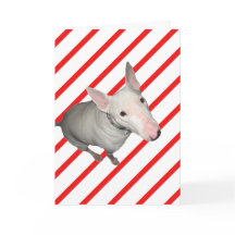 Zittend /Rood en Wit Streep-Kerstmis Kaart