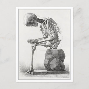 Zittend skelet anatomie illustratie briefkaart