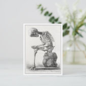 Zittend skelet anatomie illustratie briefkaart (Staand voorkant)