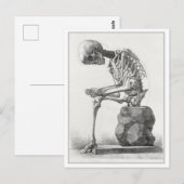 Zittend skelet anatomie illustratie briefkaart (Voorkant / Achterkant)