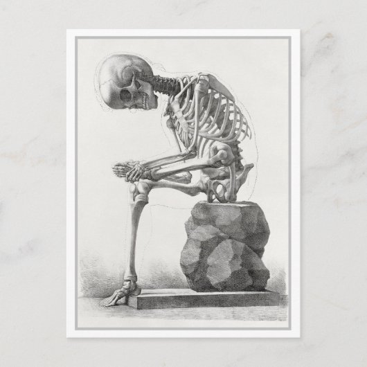 Zittend skelet anatomie illustratie briefkaart (Voorkant)