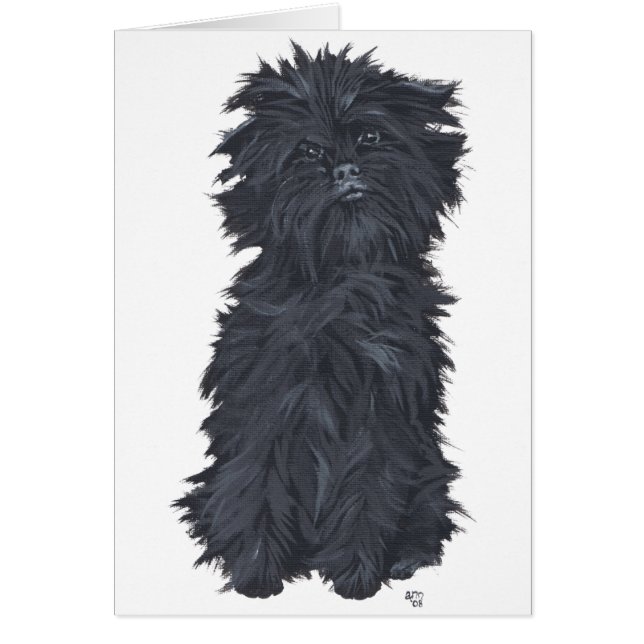 Zittende Affenpinscher (Voorkant)