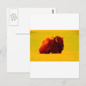 Zittende bizon briefkaart (Voorkant / Achterkant)