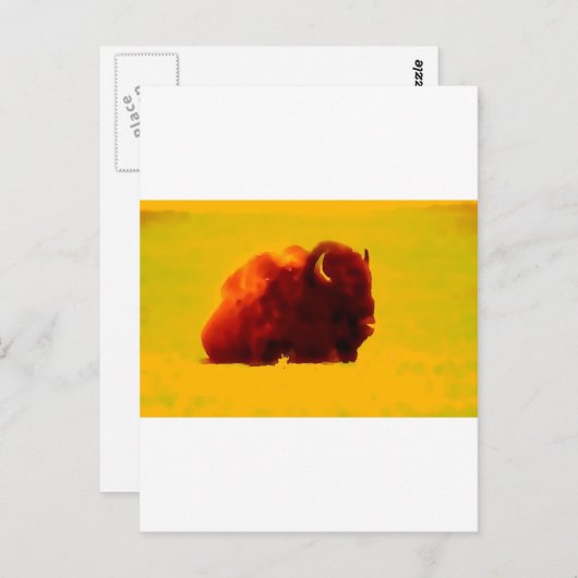 Zittende bizon briefkaart (Voorkant / Achterkant)