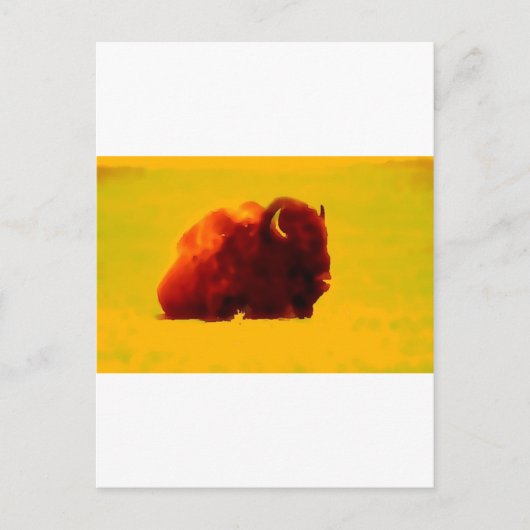 Zittende bizon briefkaart (Voorkant)