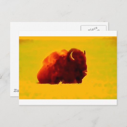 Zittende bizon briefkaart (Voorkant / Achterkant)