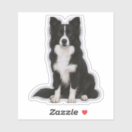 Zittende Border Collie Sticker