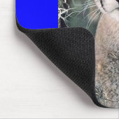 zittende cougar, Dell City, High School Muismat (Hoek)