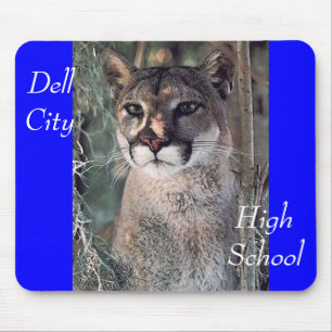 zittende cougar, Dell City, High School Muismat