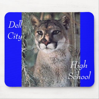 zittende cougar, Dell City, High School Muismat