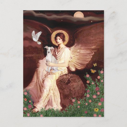 Zittende engel - Italiaanse windhond 7 Briefkaart (Voorkant)
