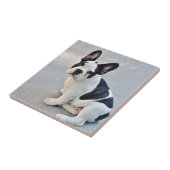 zittende Franse bulldog Tegeltje (Zijkant)
