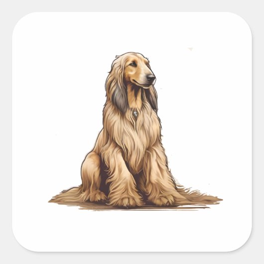 Zittende gouden Afghaanse hond Vierkante Sticker (Voorkant)