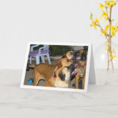 Zittende Honden Portret Kaart (Gele Bloem)