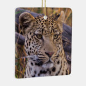 Zittende luipaard, Botswana, Afrika Keramisch Ornament (Rechts)