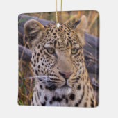 Zittende luipaard, Botswana, Afrika Keramisch Ornament (Links)