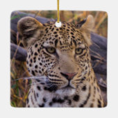 Zittende luipaard, Botswana, Afrika Keramisch Ornament (Achterkant)