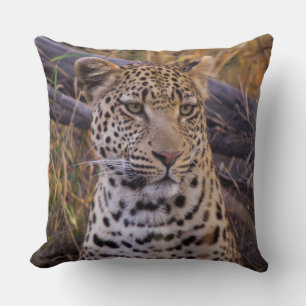 Zittende luipaard, Botswana, Afrika Kussen