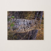 Zittende luipaard, Botswana, Afrika Legpuzzel (Horizontaal)
