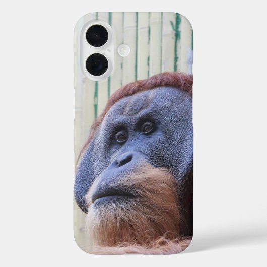 Zittende orang-oetan... Case-Mate iPhone case (Achterkant)