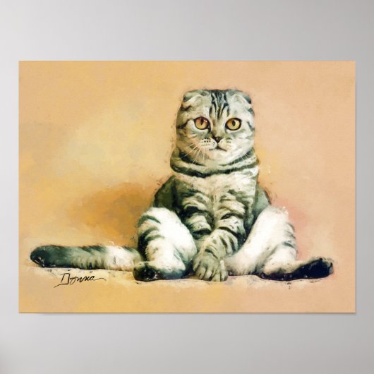 Zittende Schotse Fold Kat Portret Poster (Voorkant)