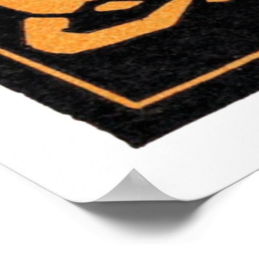 Zitterend drie kat, Julie de Graag Poster (Hoek)