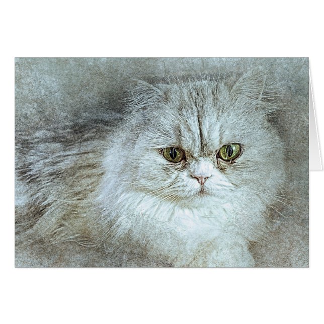 Zitterend  Kat | ABSTRACT | WATERVERF (Voorkant Horizontaal)