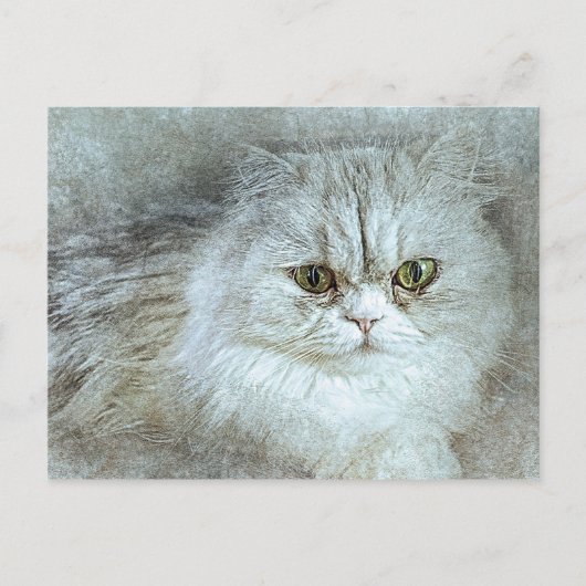 Zitterend  Kat | ABSTRACT | WATERVERF Briefkaart (Voorkant)