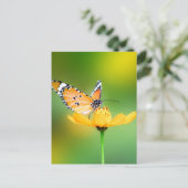 Zitterend  kleine vlinder op een ventilator briefkaart (Staand voorkant)